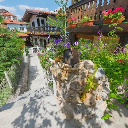 Oasis Dobrinishte