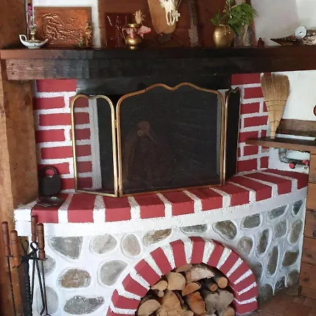 Guest house Oasis 3*