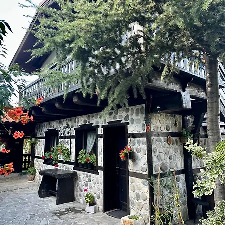 Oasis 3*