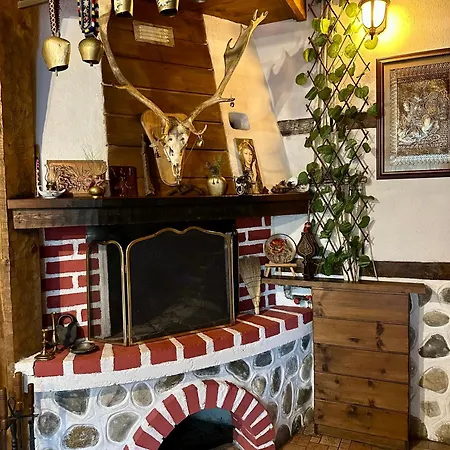 Oasis 3* Dobrinishte