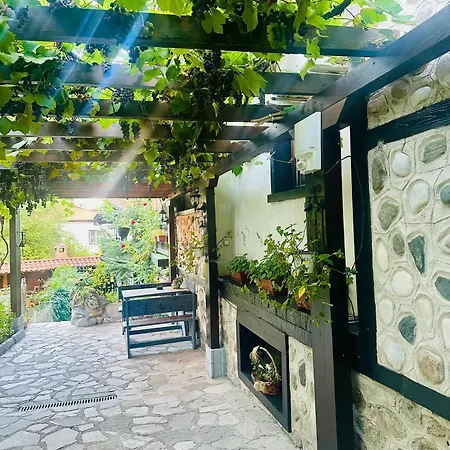 Oasis