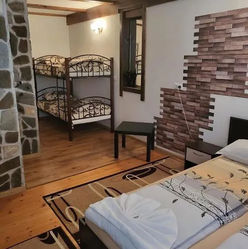 Pensiune Oasis Dobriniște