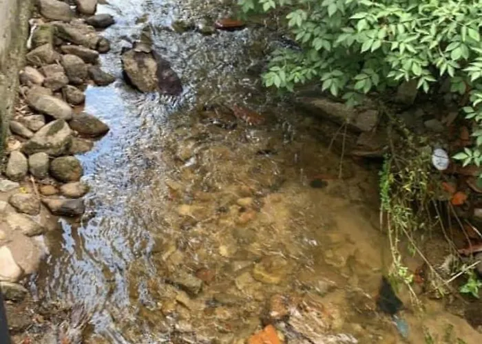 Oasis Pensiune Dobriniște