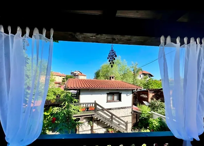 Pensiune Oasis Dobriniște