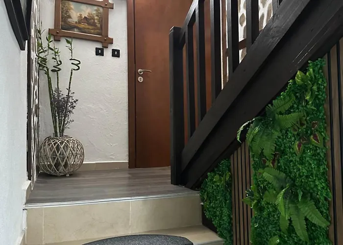 Pensiune Oasis Dobriniște